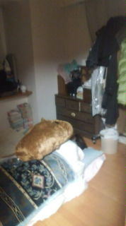 20080224211552.jpg