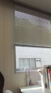 20080522065318.jpg
