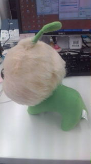 20080711123150.jpg