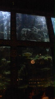20080830020518.jpg