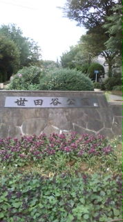 20080927165204.jpg