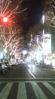 20081130222249.jpg