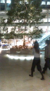 20081201174807.jpg