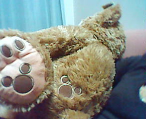 20081224223400.jpg