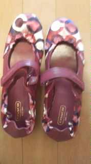 20090610121115.jpg