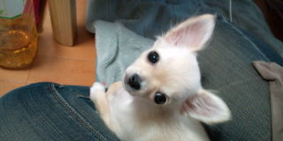 20100501170117.jpg