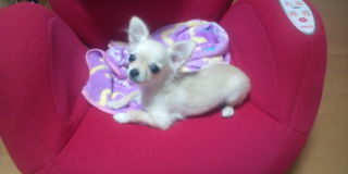 20100525000214.jpg