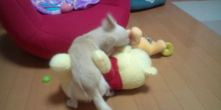 20100813010302.jpg