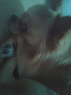 130313_065238.jpg