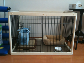 image-20100379164830.png