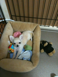 image-20100381174737.png