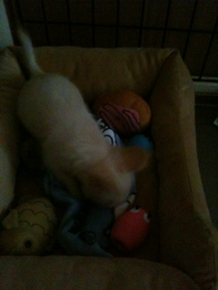 image-20100383093333.png