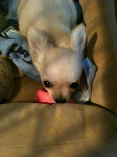 image-20100383093349.png