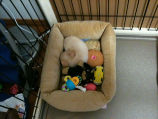 image-20100385012932.png