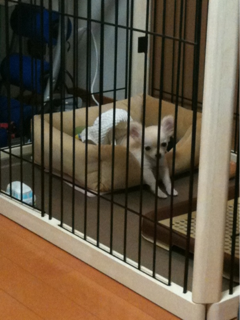 image-20100385145206.png