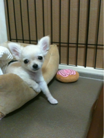image-20100385145225.png