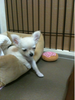 image-20100385145313.png