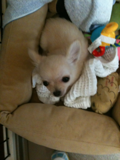 image-20100385145357.png