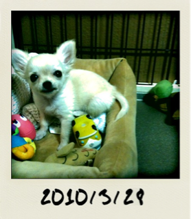 image-20100387215119.png