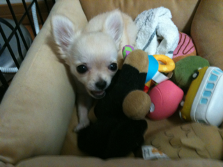 image-20100388221726.png