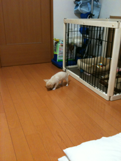 image-20100388222150.png