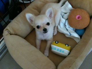 image-20100389205318.png