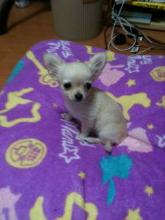 image-20100389205614.png