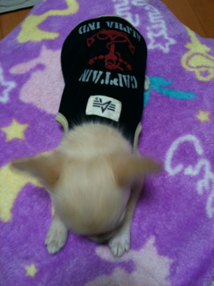 image-201004100210227.png