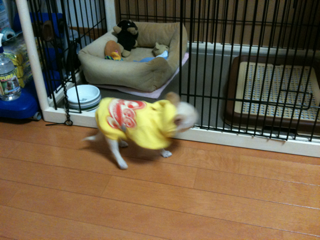 image-201004100213058.png
