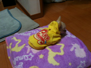 image-201004100213115.png