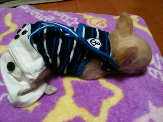 image-201004100213233.png