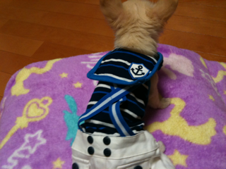 image-201004100213302.png