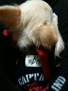 image-201004100213644.png