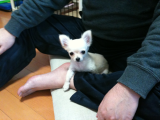 image-201004100214102.png