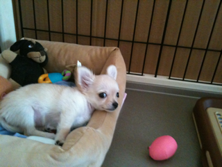 image-201004100214137.png