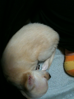 image-201004101194134.png