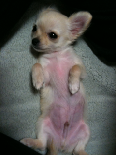 iphone/image-201004102202617.png