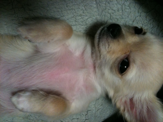 iphone/image-201004102202635.png