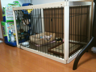 image-201004105041438.png