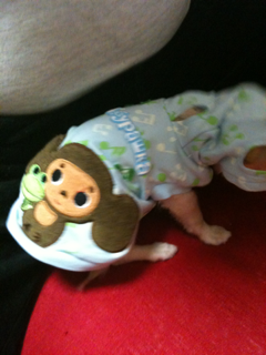 image-201004106003239.png