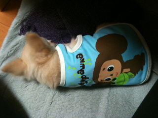 image-201004106003402.png
