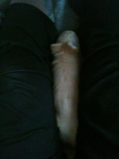 image-201004106133653.png