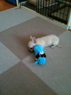 image-201004107150059.png