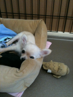 image-201004107150936.png