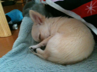 image-201004108233549.png