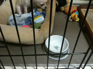 image-201004108234108.png