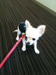 image-201004114143624.png