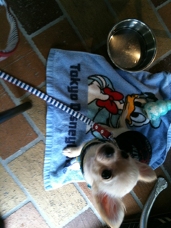 image-201004114143649.png