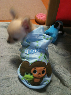 iphone/image-201004114200335.png