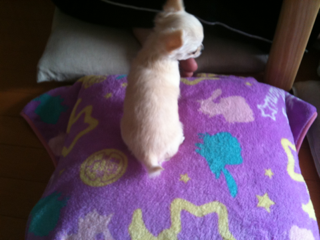 image-20100493161613.png